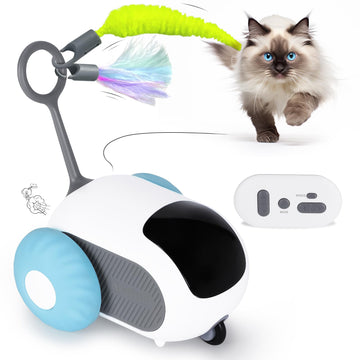 Remote Controlled Pet Car